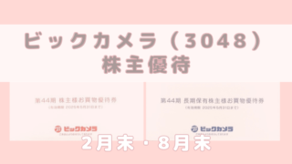 ビックカメラ 3048 株主優待券 到着